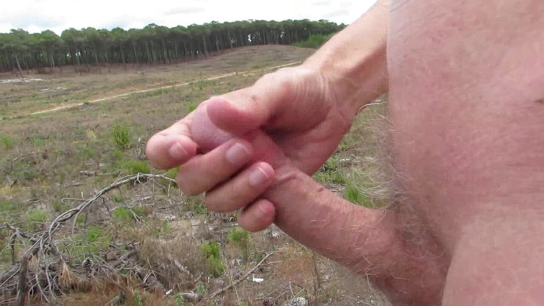 Littleschorschi: Melancap bogel dalam hutan dan ladang 9