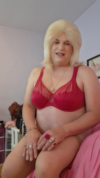 Big Booty Bitches Suck Cock!