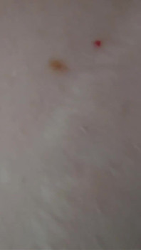 Upclose POV owłosionej cipki, łechtaczki grać, palcówka, misjonarz i piesek jebanie.