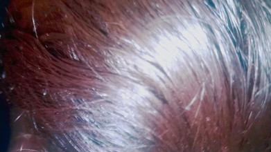 RUMI BDX: Aku ngentot kakak ipar indiaku dan bikin dia crot