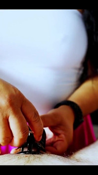 It's a Woman's World