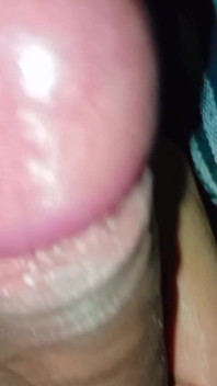 Who Will Suck My Cock?