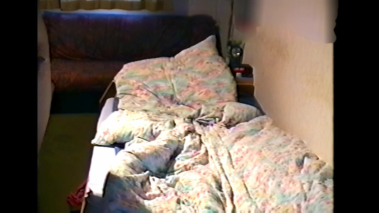 Mark Hannes: 脱衣舞表演和床上自慰