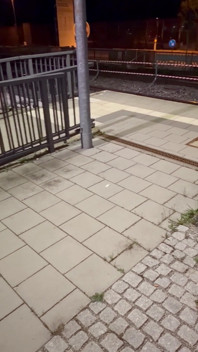 Random Reunion at the Train Station… We Couldn’t Oppose