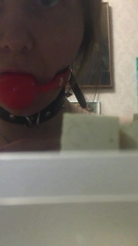 Cooking While Wearing a Collar and a Gag - Lovessie