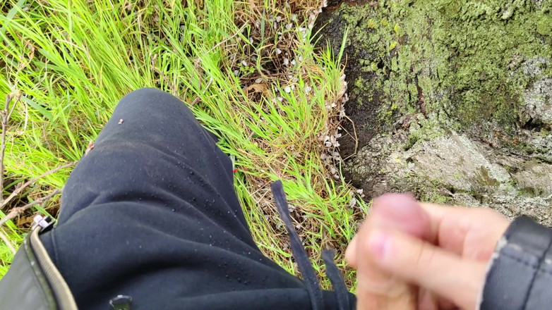 Bayer911: Torta dalla quercia