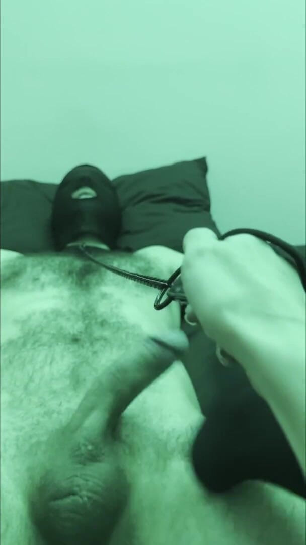 HoneyXScream: Ragazzo Bendato Viene Sottomesso Ai Piedi Della Sua Padrona