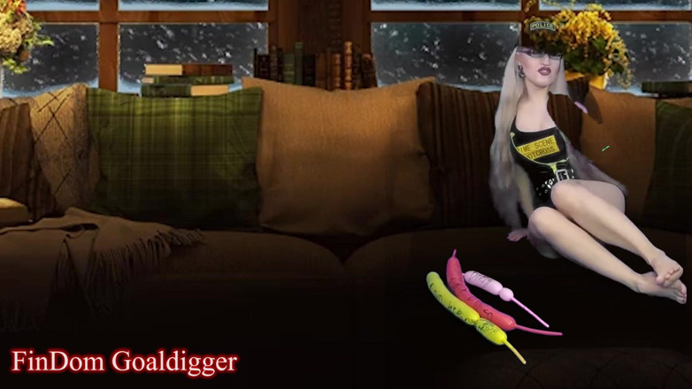 FinDom Goaldigger: Cyber CEI
