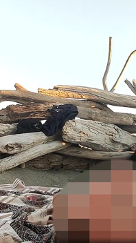 Memamerkan di luar ruangan di pantai telanjang mengisap dan mani muncrat dari kontol besar di depan semua orang - misscreamy