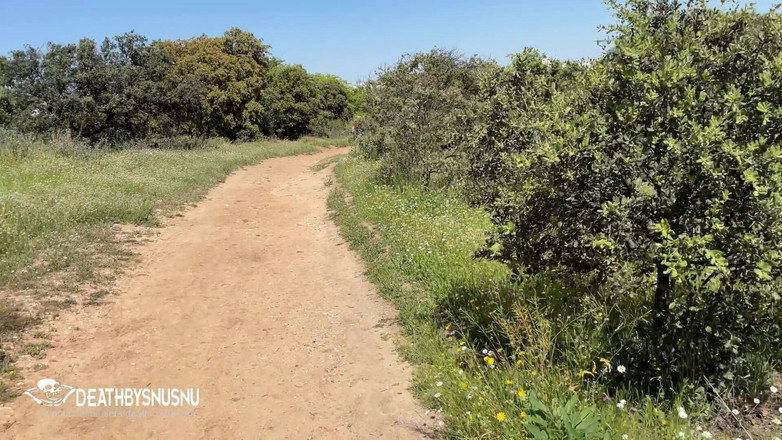 Pamsnusnu: 거유 창녀와 함께하는 마드리드 컨트리 하우스의 케이블카 타기