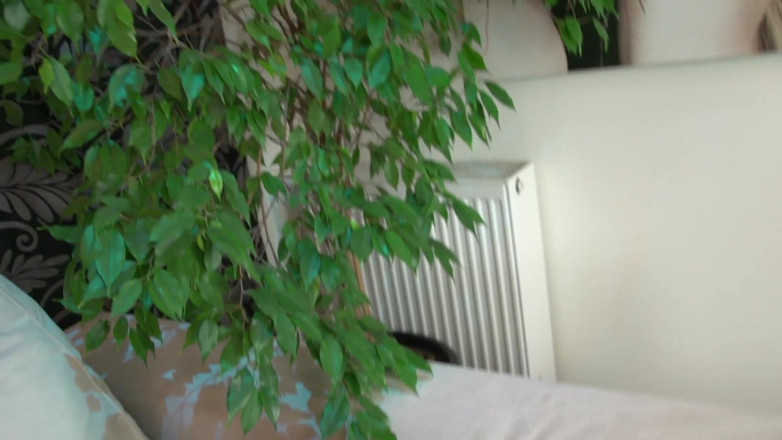 Saboom: Rychlá zábava s Melanie