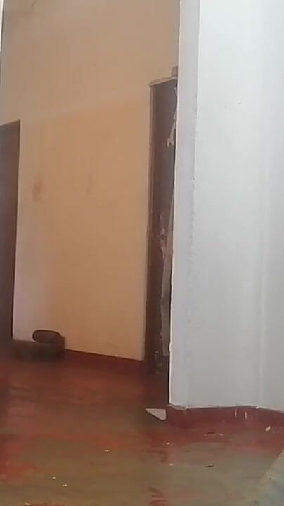 Tina Baby: Coño indio sorbiendo