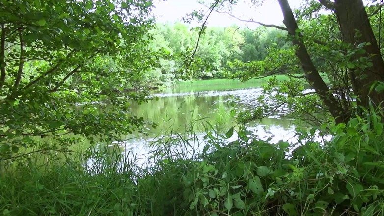 Purzel: Geile männer überreden ahnungslose frauen, sie zu lutschen und zu ficken....
