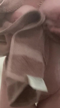 Drying Tits