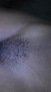 Ebony Hairy Pussy Takes Big White Cock and Creampie Amateur