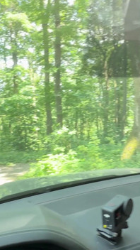 Squirting Fart Smelling Ass Licking Face Fucking Facial in Nature
