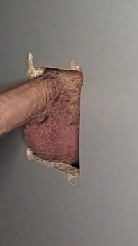 Only Gloryholes