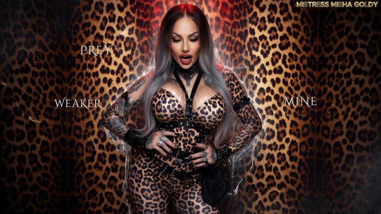 Goddess Misha Goldy: 나는 당신의 육식 동물입니다.