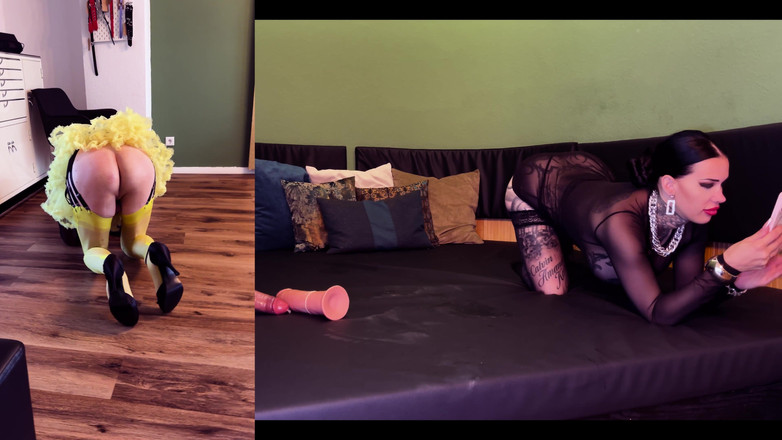 MissAlessaMilano: 게임 규칙 정렬 및 확인