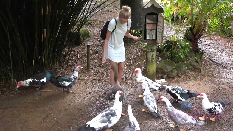 ATK Fans (Girlfriends): Virtual Vacation in Hawaii with Emma Hixx 9/16