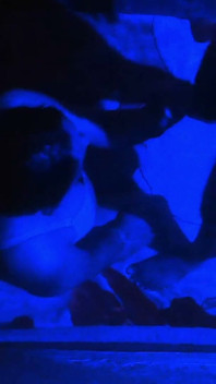 Sesso di notte intera con una donna sexy, lei vuole che la sua figa lecca e poi scopa