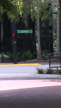 Brooklyn Gets Naked in the Middle of Downtown Tampa