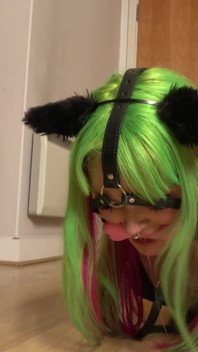 Mimi & Latina: Leather-bound Submission - Tight Bondage, Humiliating Gags, and Intense Domination