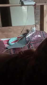 Iclik Biasa