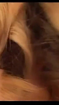 Latina Slut with Colored Blonde Hair Has an Interracial Threesome with Two Big Black Cocks