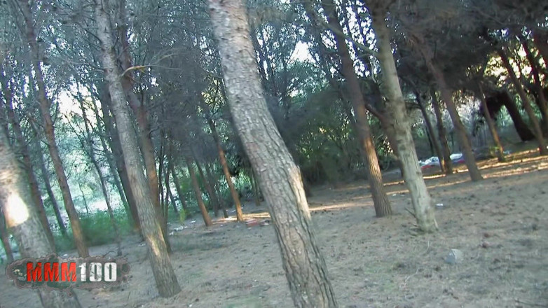 MMM100: Nataly göttliches mädchen lutscht ihren freund im wald, von einem...