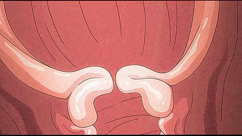 Erotic Animation: Hardcore istiyor