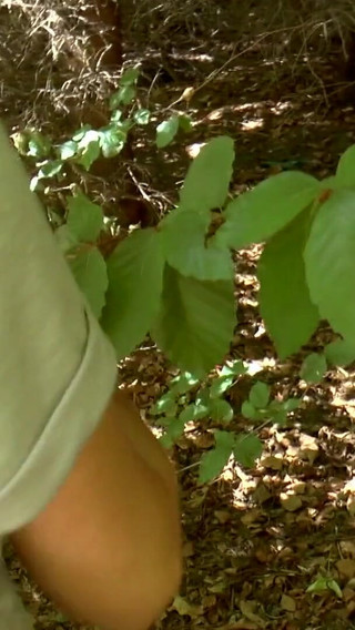 MMV Watersports: Sexy blonde banged outdoor in the woods