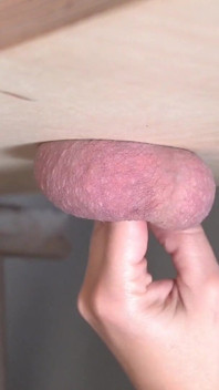 Your Balls as a Punching Bag Punching Balls Ballbusting
