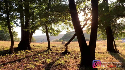 Our Secrets: Cum in her panties while hiking in the woods - very...