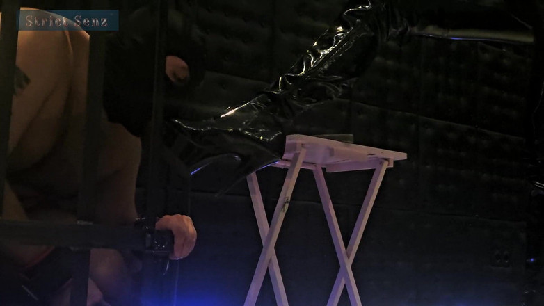 Strict Senz: Lady Zara My Caged Human Ashtray My Human Furniture My...