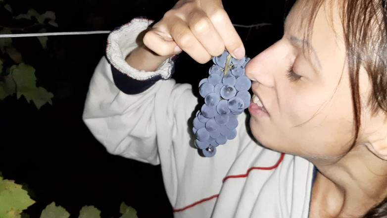 Lesbian-illusion: Meu vizinho me agradeceu pelas uvas com Cunilíngua