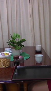 戴绿帽子和不忠 - 已婚女人的故事 - 2