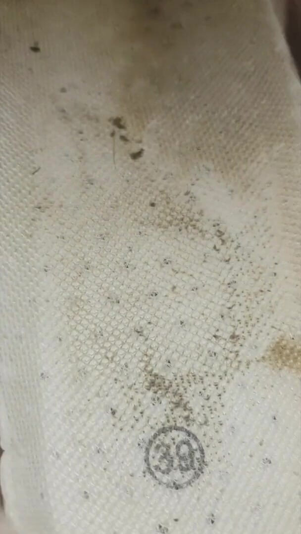 Simp to my ebony feet: Gel ve edepsiz 3 günlük yıpranmış eğitmenlerimin içine bak