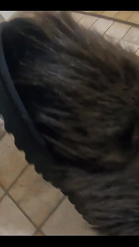 3821908449.mp4