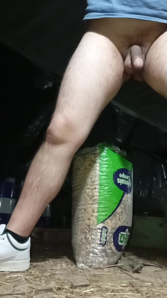 A large Portuguese dick: Handjob trong nhà kho