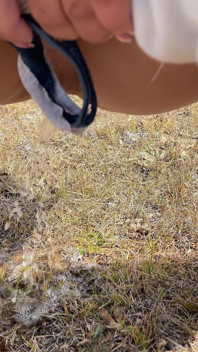 Eine Zusammenstellung von öffentlichem Pissen und Creampies in der Natur! Roadtrip! POV!