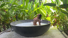 Princess Monica: Dschungelbad nackt - hinter den kulissen