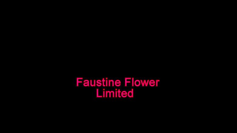 Faustine: Travestit ciorapi sexy cu tocuri înalte