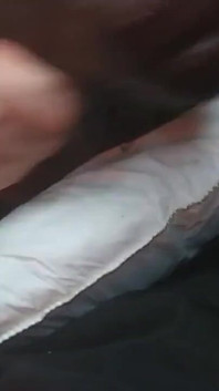 Kabaretka body i duży czarny dildo analny