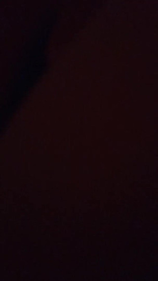Natural born sex: ST beginning