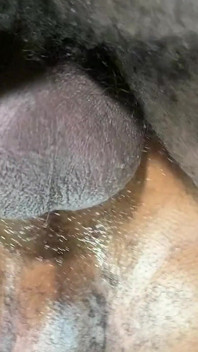 Stepdaddy Fuck Me Till I Tap Out