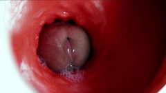 SEXY_GUYBEST: Большой красивый член обильно течет в мокрую скользкую дырку и шлепает!