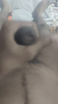 おばさんの膣は私のペニスを見て濡れてしまいました。