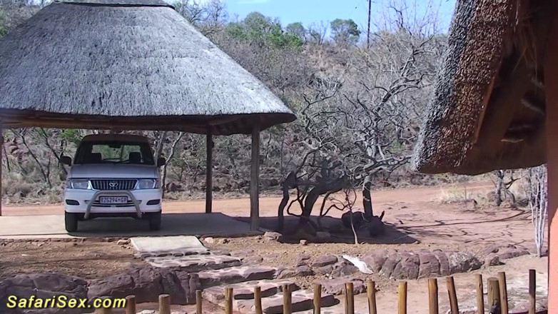Safari sex: Ama de casa africana follada duro por turista sexual