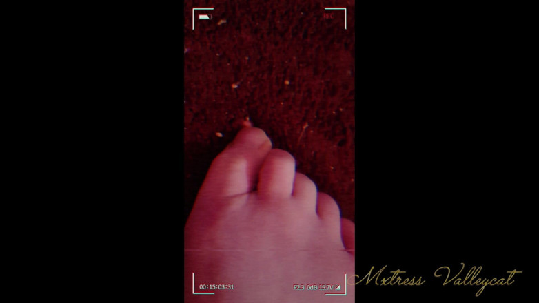 Mxtress Valleycat: Barefoot Giantess Bullies Freshman